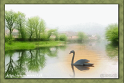 Opgave Natur_uge37_B1(2)
